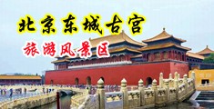 鸡吧好大啊啊啊啊视频中国北京-东城古宫旅游风景区